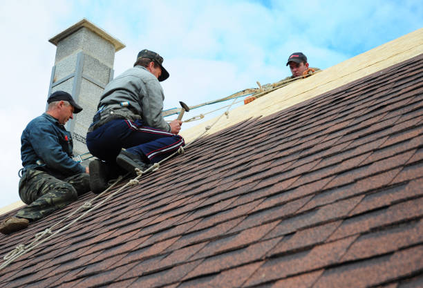 Best Storm Damage Roof Repair  in Garland, UT